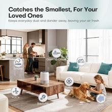 Load image into Gallery viewer, AeroClear Pro
