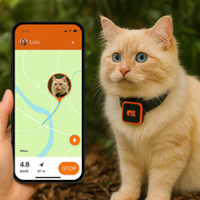 Load image into Gallery viewer, KittyFind GPS Collar
