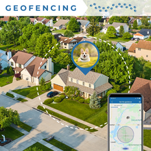 Load image into Gallery viewer, KittyFind GPS Collar
