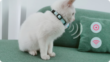 Load image into Gallery viewer, KittyFind GPS Collar
